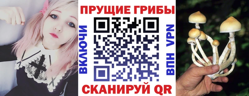 mega Рубцовск Галлюциногенные грибы мицелий