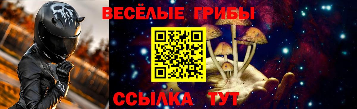Рубцовск  купить   Вход с VPN  Псилоцибиновые грибы мицелий 